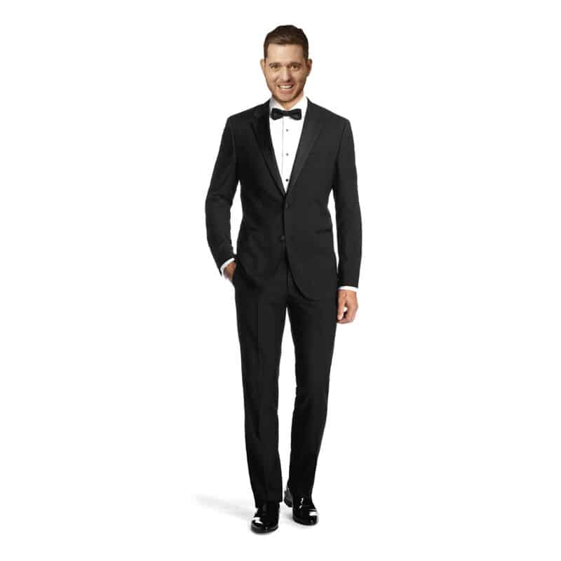 Michael Bublé Cut Out